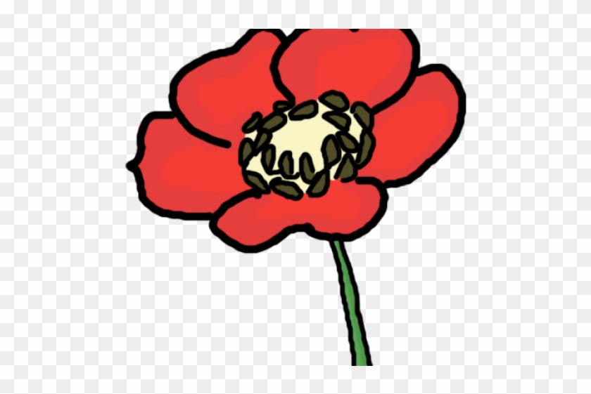 Red Flower Clipart Anzac Poppy - Opium Flower Cartoon - Png Download #5064799