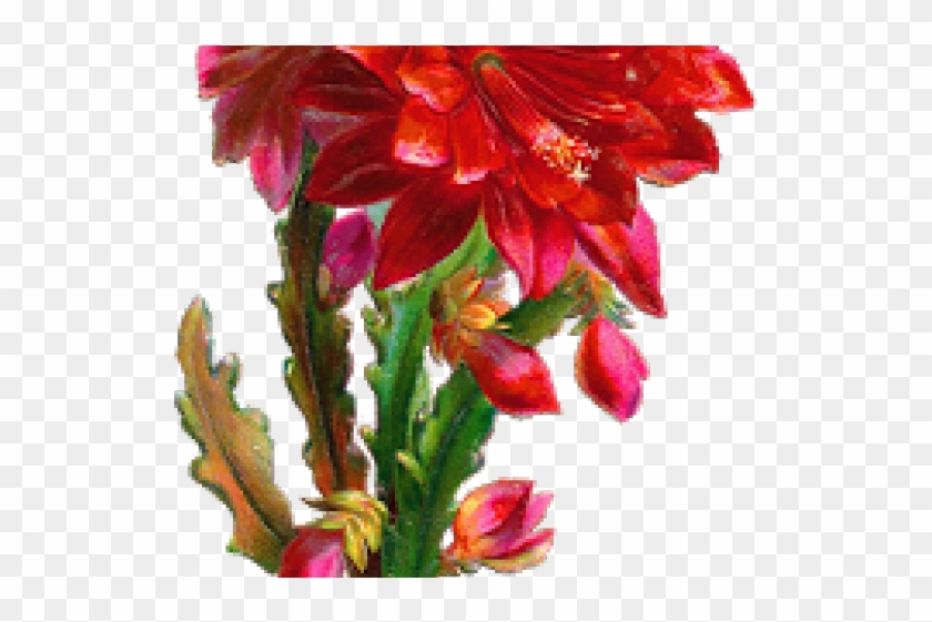 Red Flower Clipart Beautiful Flower - Clip Art - Png Download #5064970