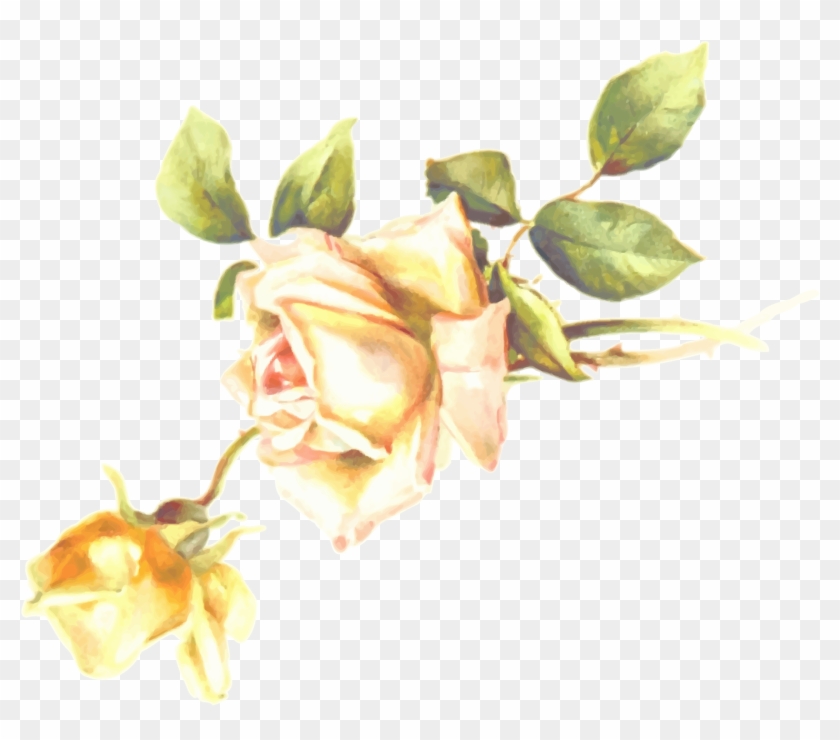 This Free Icons Png Design Of Rose 4 - Garden Roses Clipart