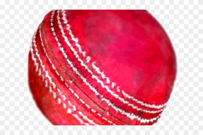 Cricket Ball Clipart
