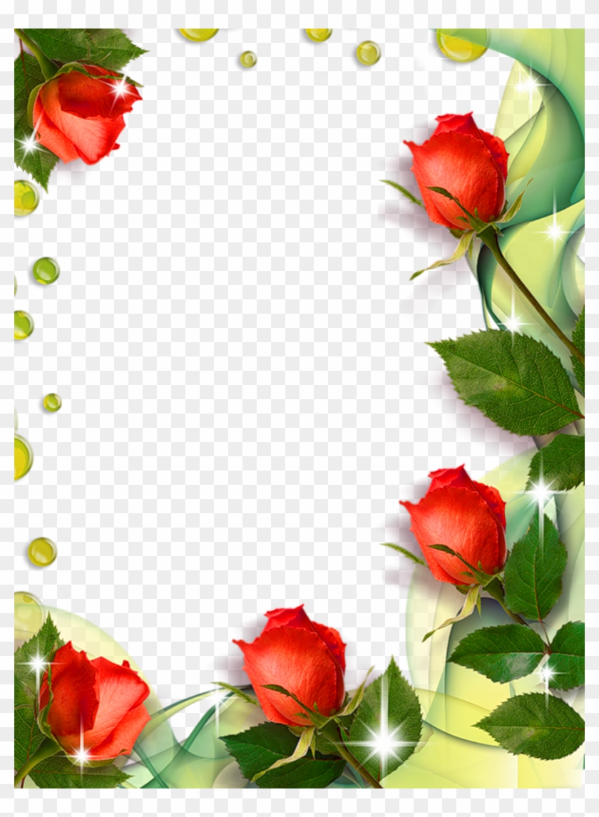 Beautiful Transparent Photo Frame With Roses - Roses Borders And Frames Clipart