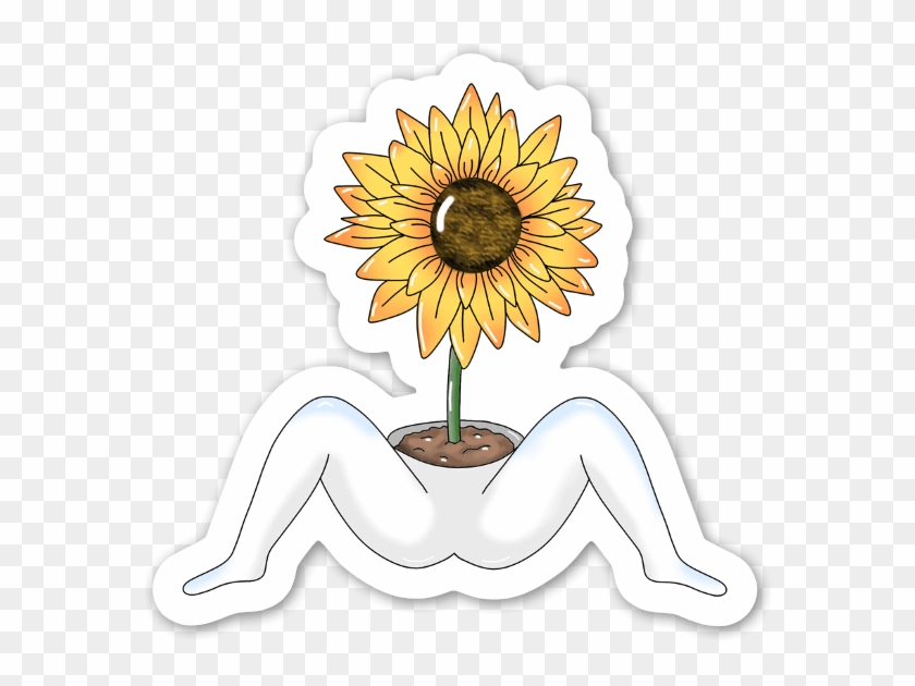 Sunflower Clipart #5066713