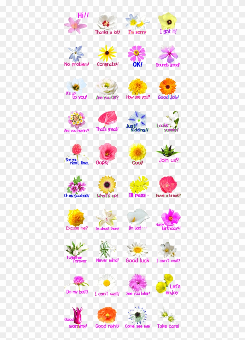 Kikimama Flower Sticker English Version - Sunflower Clipart #5067211