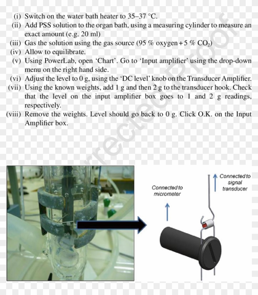 Vessels Are Mounted Between Two Steel Wires And Placed - Paper Clipart