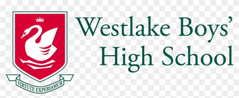 Graphic Design Clipart #5067631