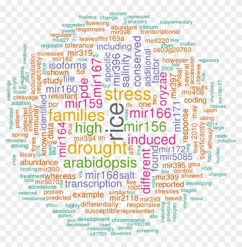 Stem Loop Sequence Osa Mir169e - Hsa Mir 122 5p Clipart
