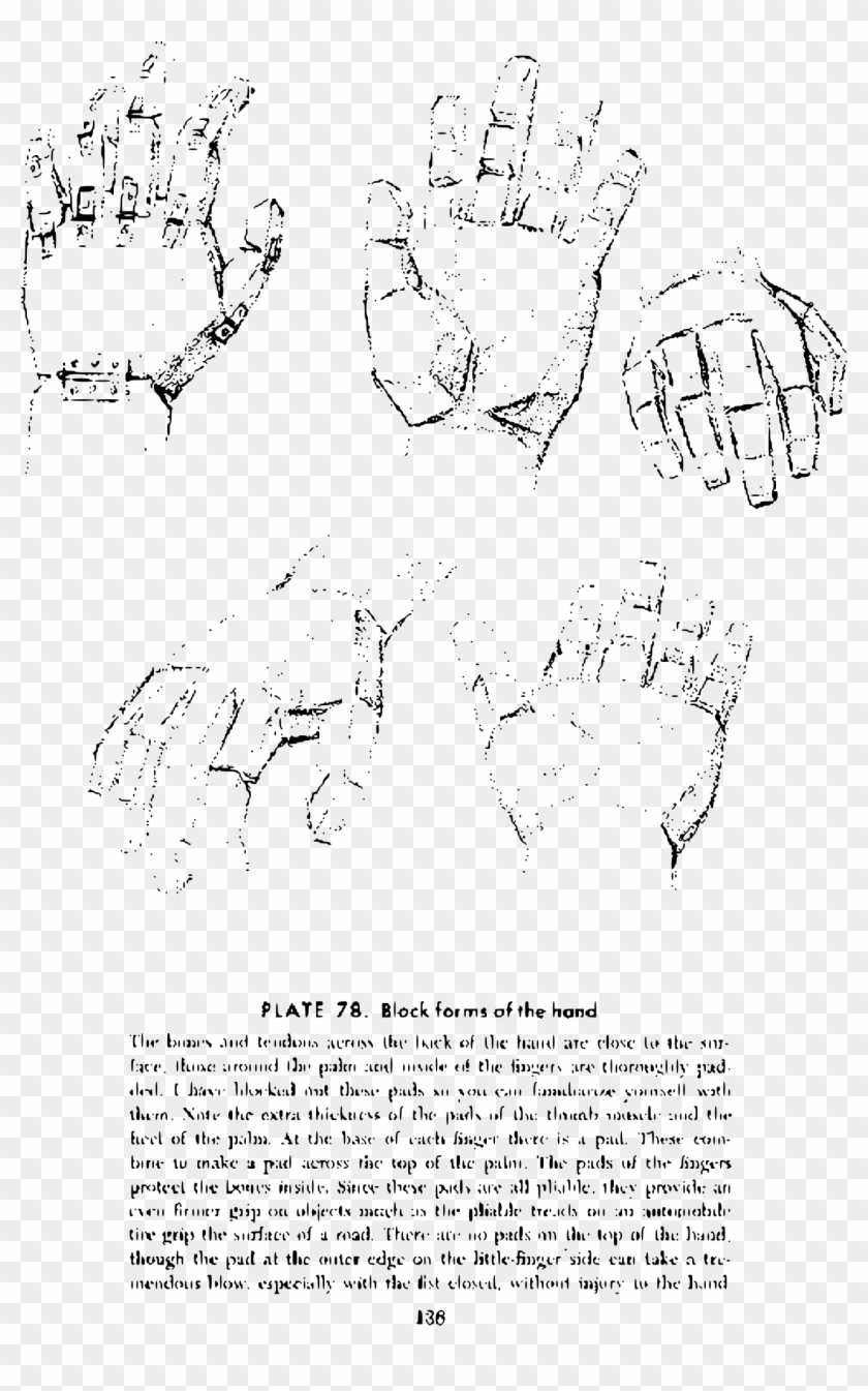 This Free Icons Png Design Of Andrew Loomis Drawing - Loomis Block Hand Clipart #5070386