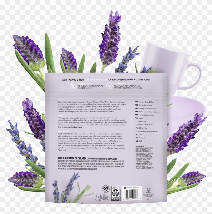 English Lavender Clipart #5071638