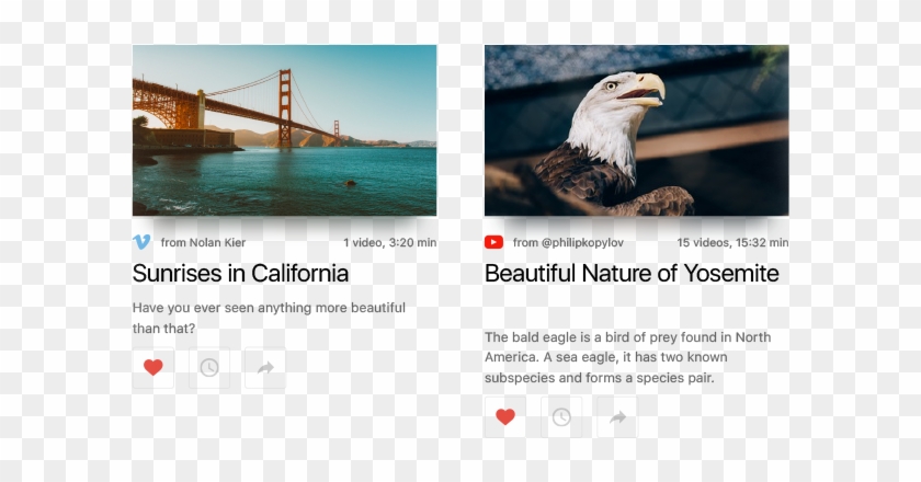 With Game Changing Itunes To The Newly Revolutionized - Bald Eagle Clipart