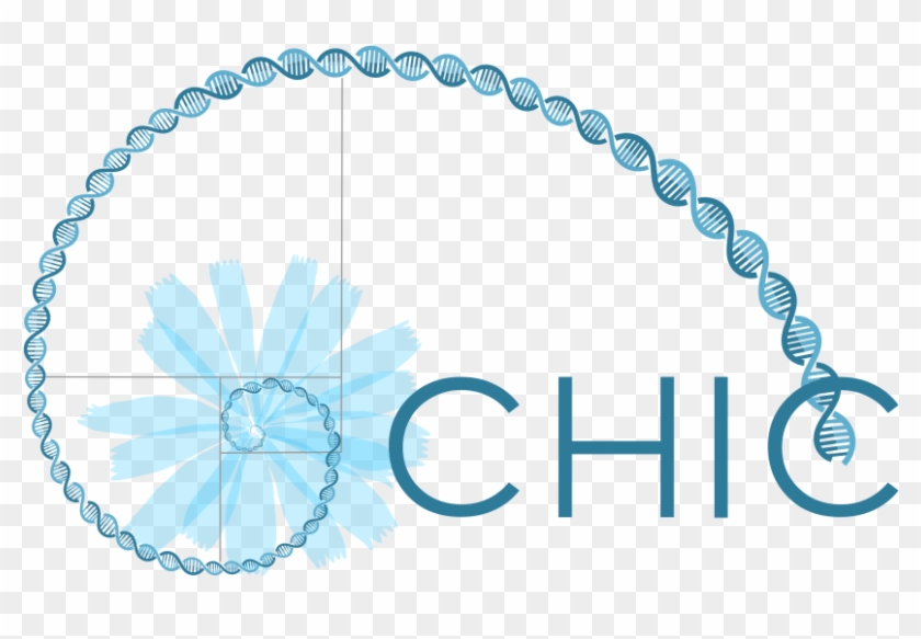 Chic Project - Graphic Design Clipart #5072742