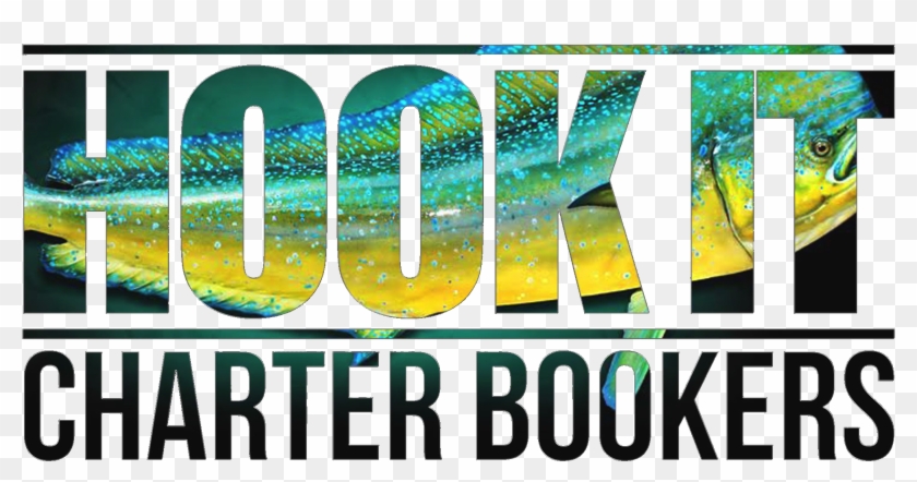 Hook It Charter Booker Logo - Broken Glass Sally Grindley Clipart