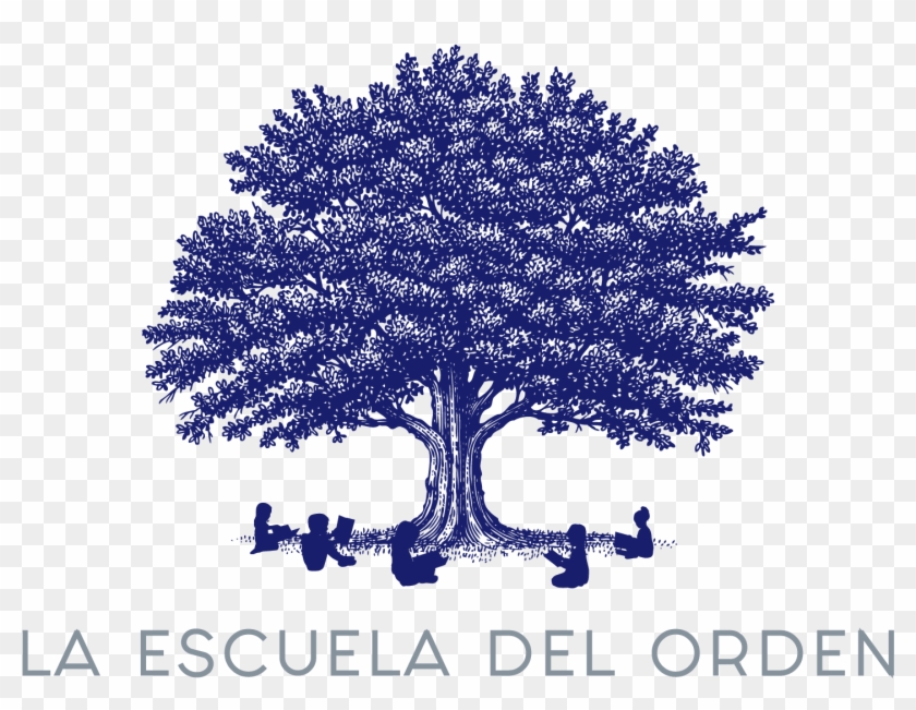 Full Picture Of Tree With Roots Clipart #5077826