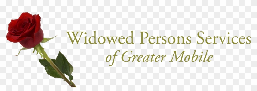 Thursday, September 14 Red Lobster, Airport Blvd - Calligraphy Clipart #5078729