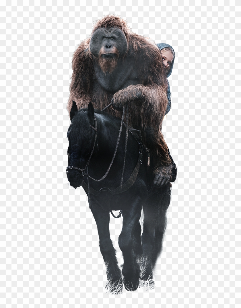 Available On A Variety Of Home Entertainment Formats - Mane Clipart