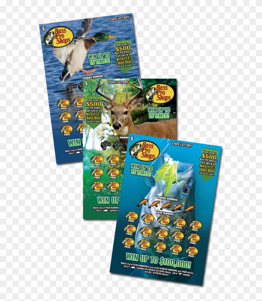 Bass Pro Shops - Duck Clipart #5080967