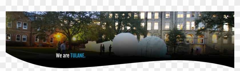 Quad - Tree Clipart #5081957