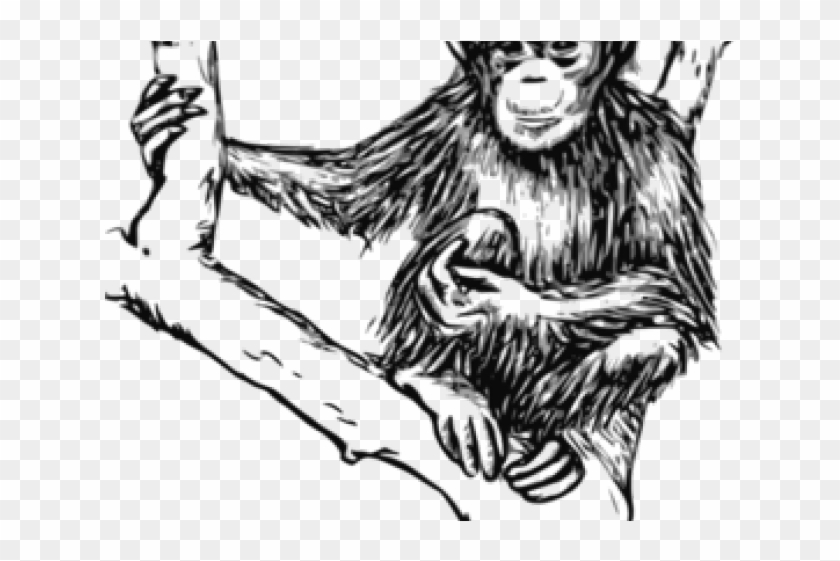 Clipart Of The Day - Monkey Black And White Png Transparent Png
