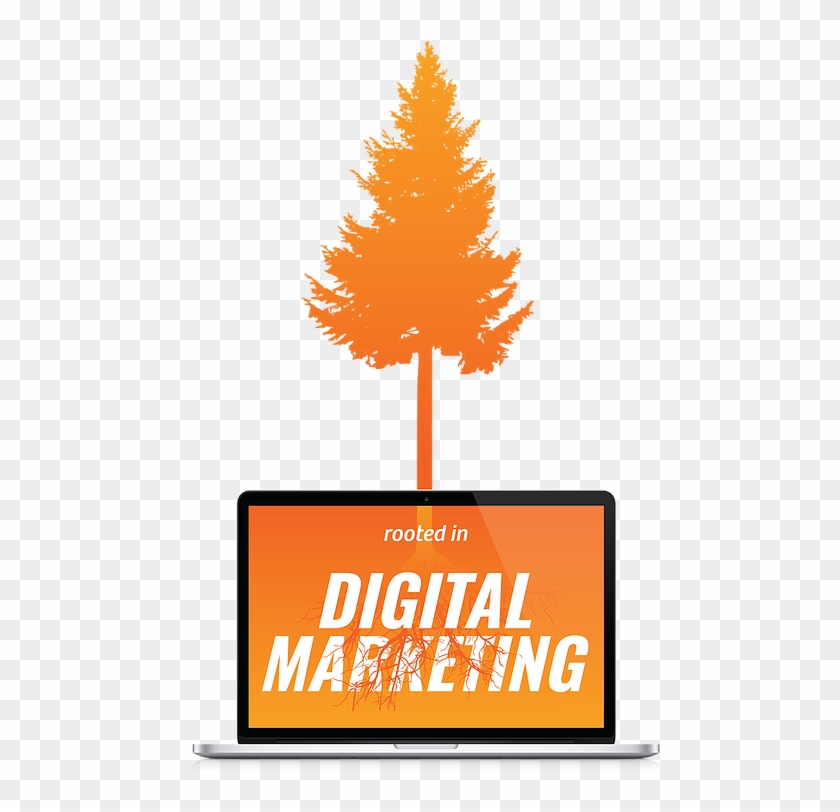 Tree Full - White Pine Clipart #5085546