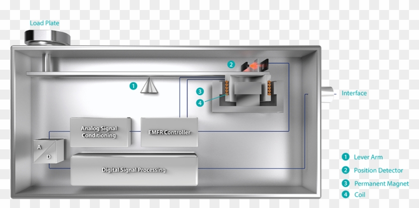 Our Weighing Principle In Motion Pictures - Kitchen Clipart #5090527