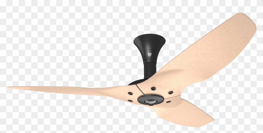 Benefits Of Getting Ceiling Fan Installation In Newmarket