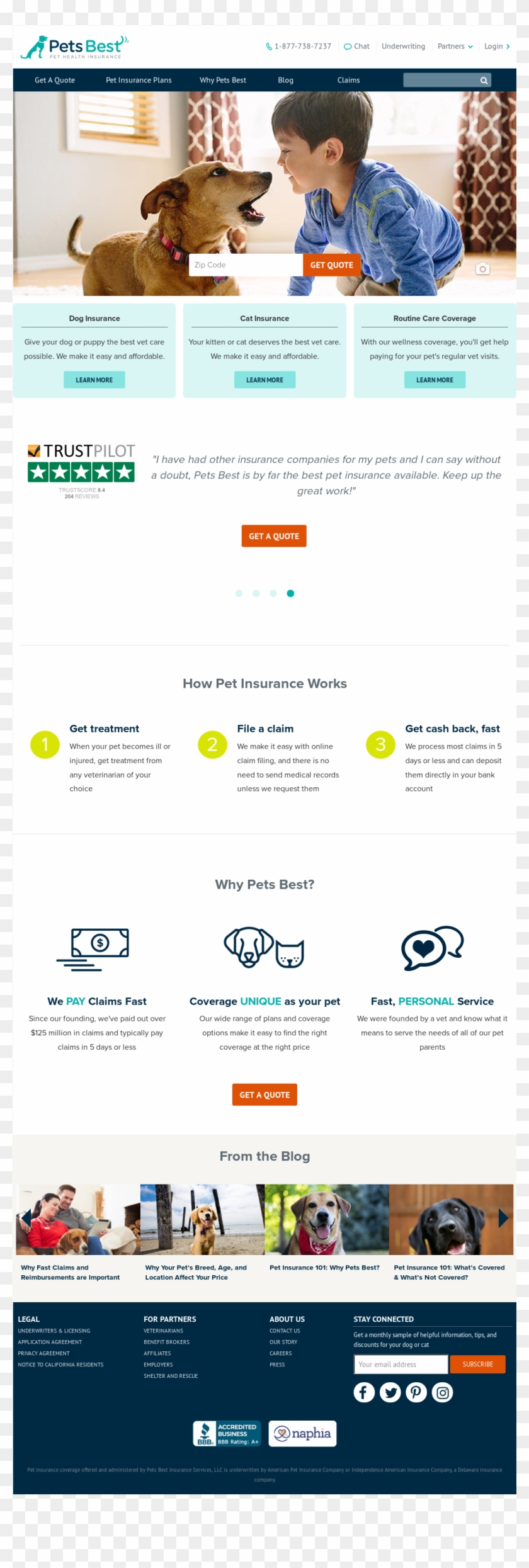 Pets Best Insurance Competitors, Revenue And Employees - Beige Clipart