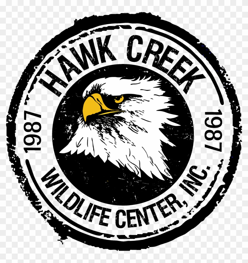 Hawk Creek Wildlife Center Clipart #5095338