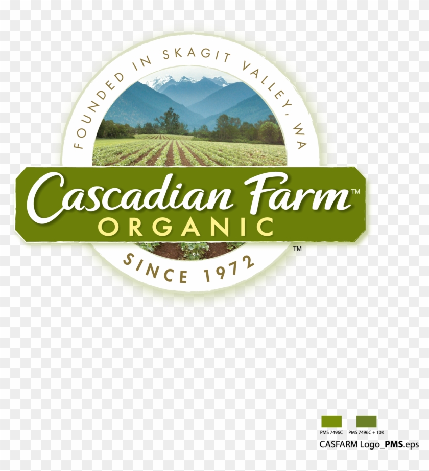 Close Up For Threshed Kernza Perennial Grain Seeds - Cascadian Farms Clipart