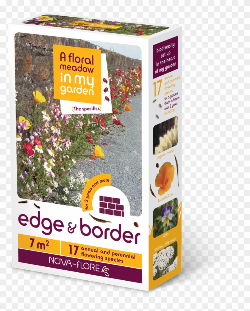 Meadow In My Garden - Wildflower Seed Box Clipart #5095541