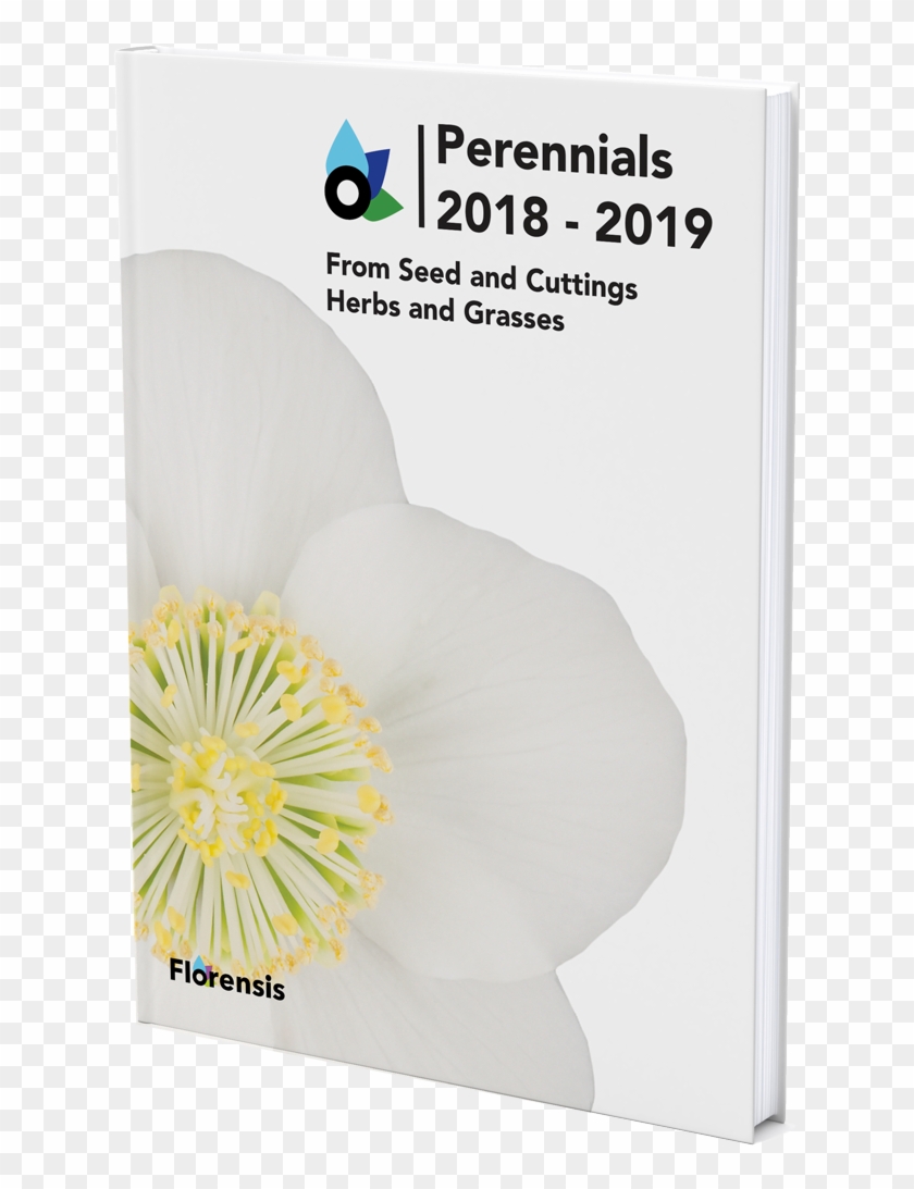 Catalogue - Poppy Family Clipart #5095713