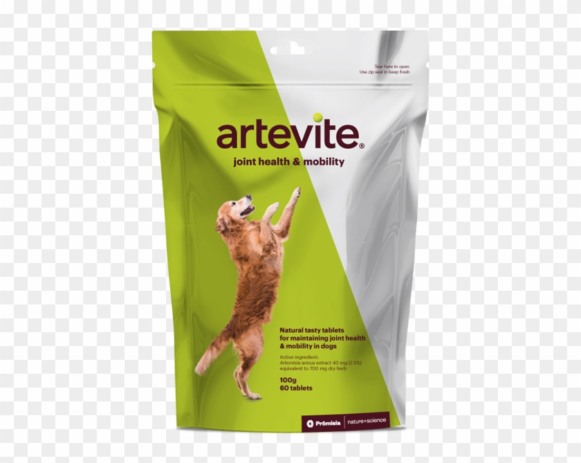 Artevite Dog Jumping - Rat Clipart #5095990