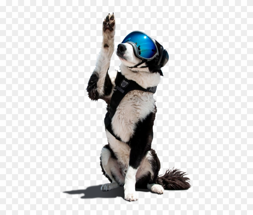 Airport K-9 Salute - Cherry Capital Airport Clipart