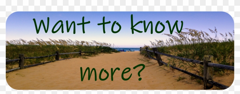 What Is Treasure Clipart