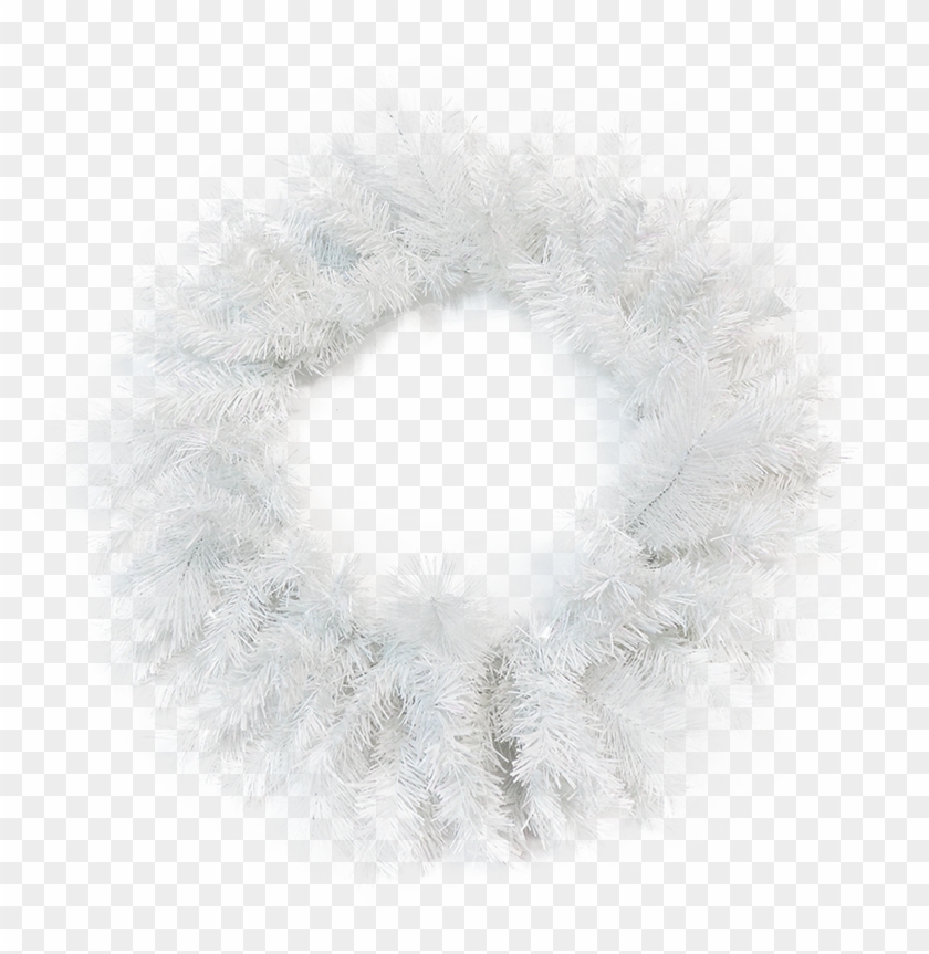 Circle Clipart #5098066