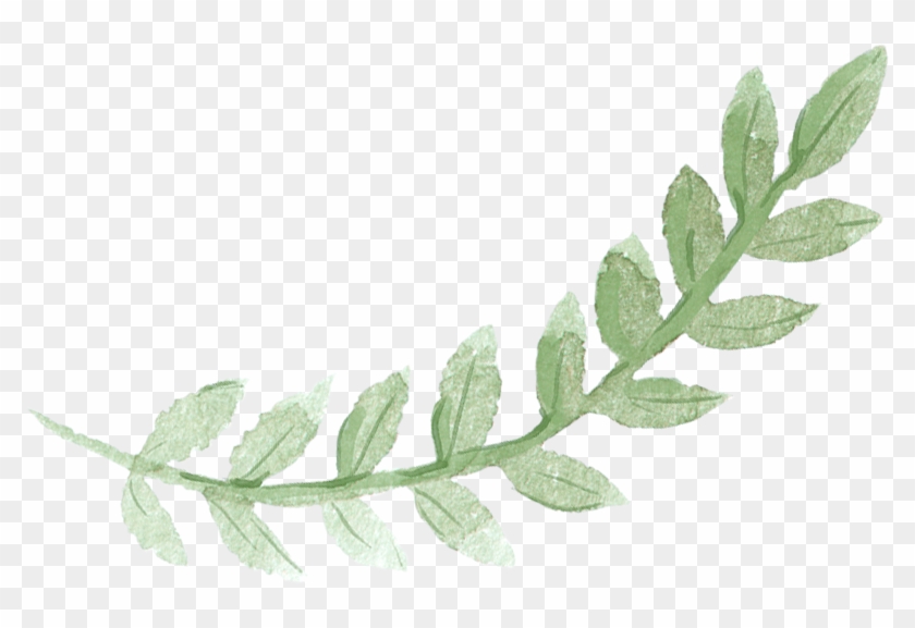 Green Leaf Watercolor Clipart - Green Leaves Watercolor Clipart - Png Download