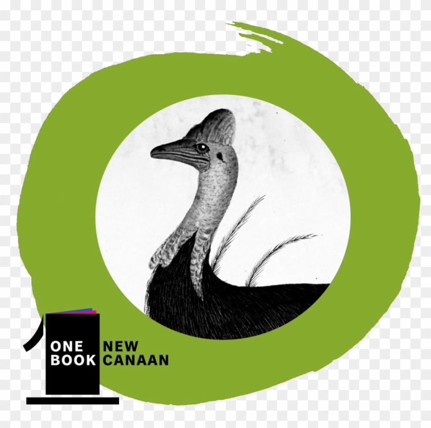 Venture Into The Strange, Wondrous, And Dangerous Animal - Wood Duck Clipart