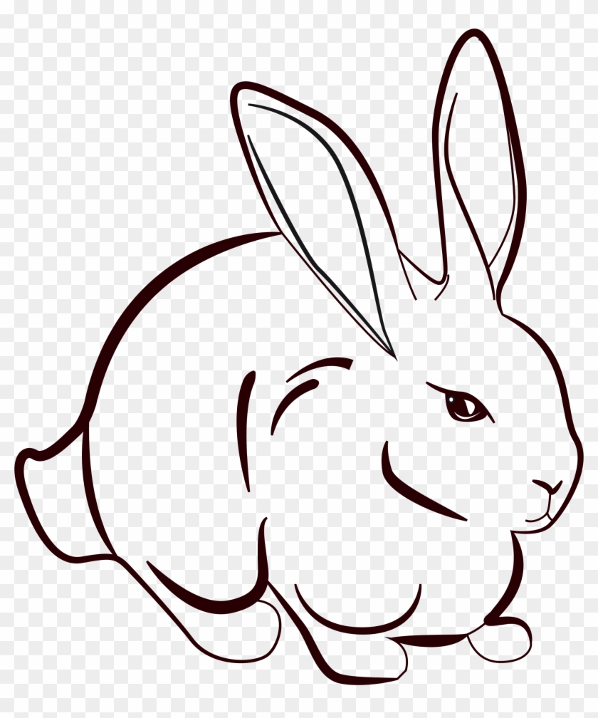 Line Rabbit Png - Rabbit Line Art Png Clipart #511875