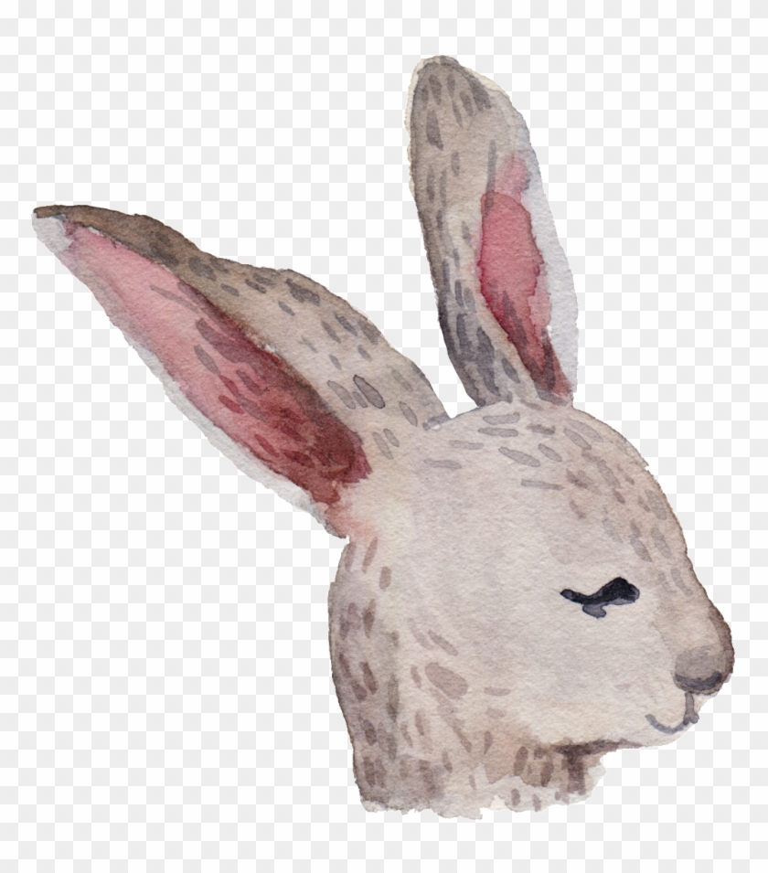 Cartoon Rabbit Png - Domestic Rabbit Clipart