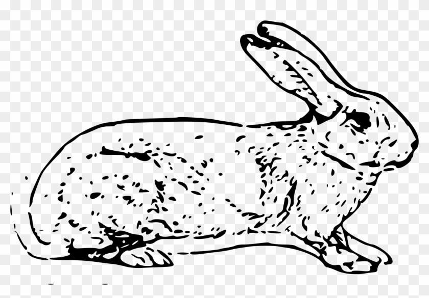 How To Set Use Belgian Rabbit Icon Png Clipart #512776