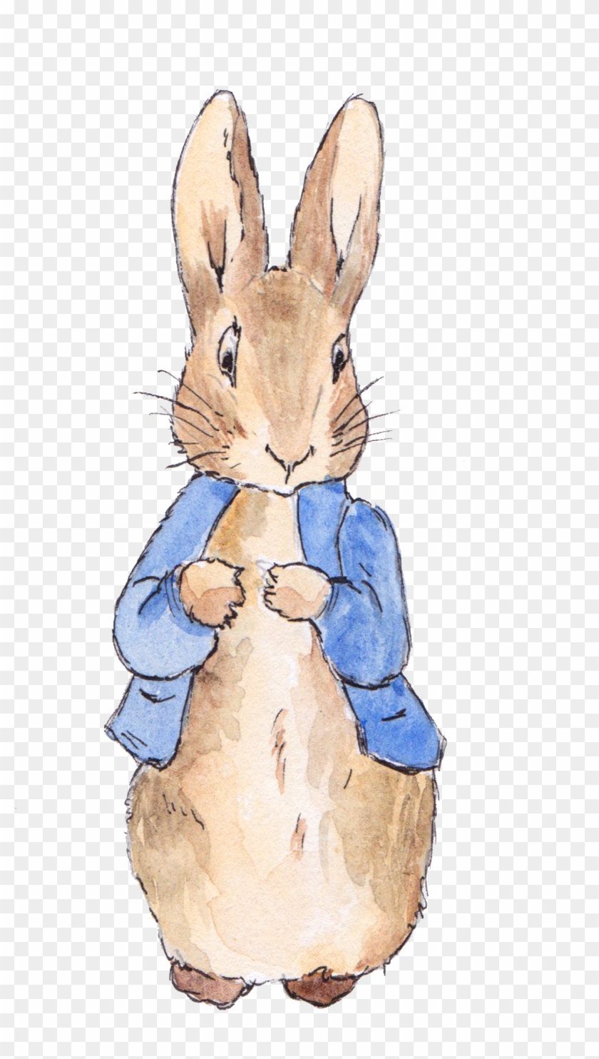 The Tale Of Wedding Invitation Birthday Open - Even The Smallest One Can Change The World Peter Rabbit Clipart