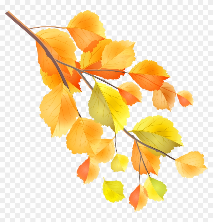 Fall Branches Clip Art Png Transparent Png