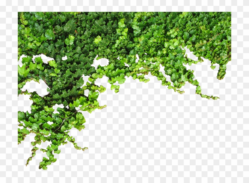 Can Anyone Explain How They Made This Decoration - Png Sarmaşık Clipart