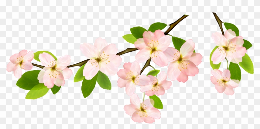 Transparent Background Spring Clipart - Png Download