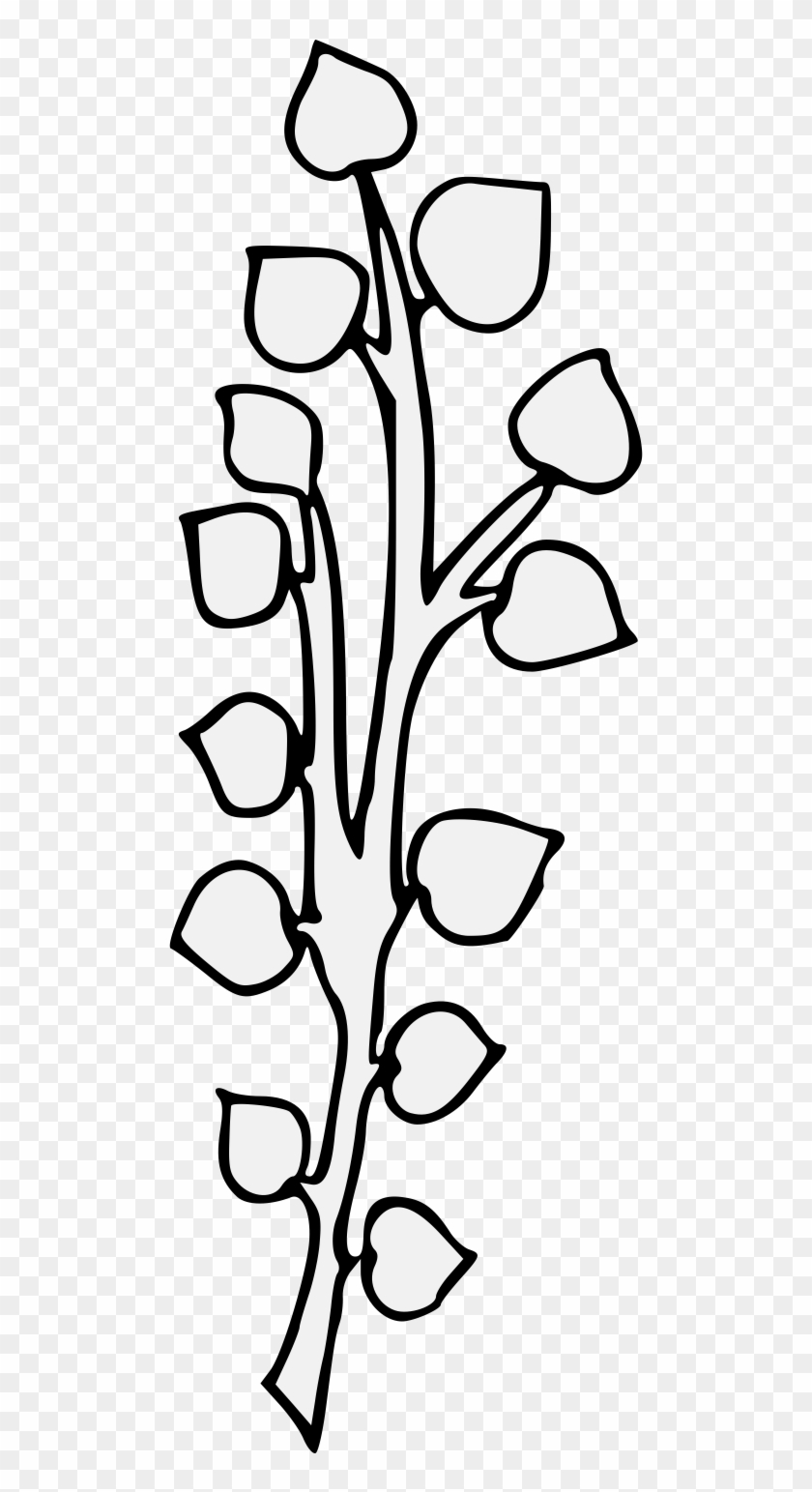 Ash Branch - Line Art Clipart