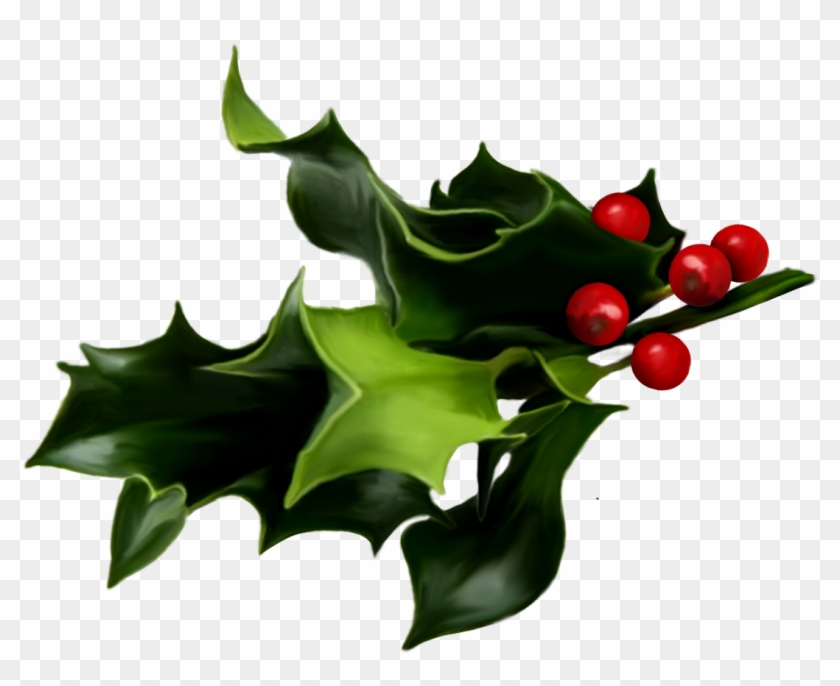 Holly And Ivy Png Pluspng - Christmas Mistletoe Clipart