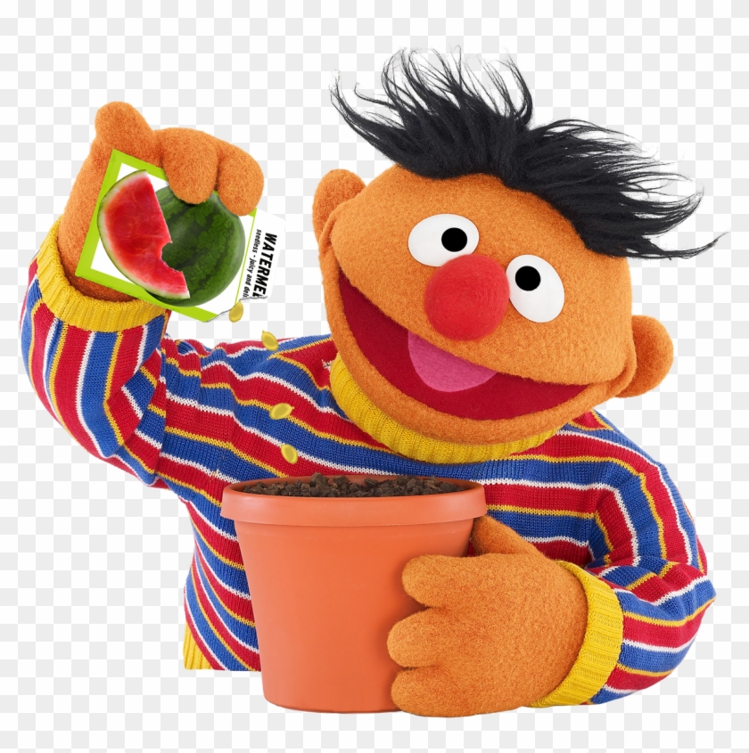 Ernie Plants Watermelon Seeds Sesame Workshop - Ernie Sesame Street Png Clipart