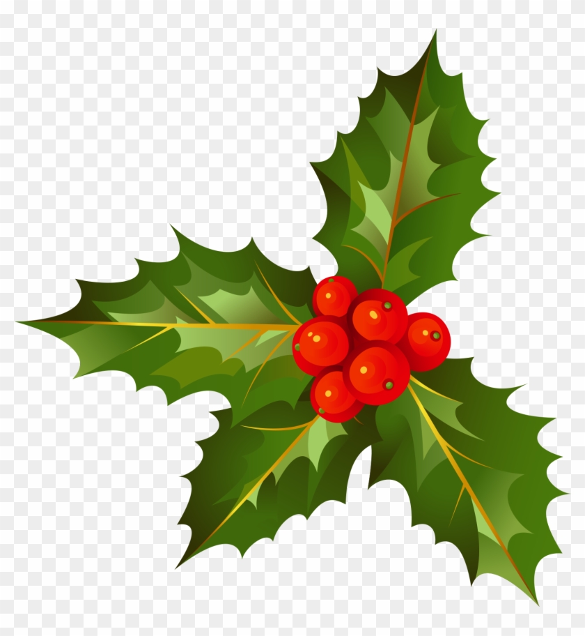 Download - American Holly Clipart #517048