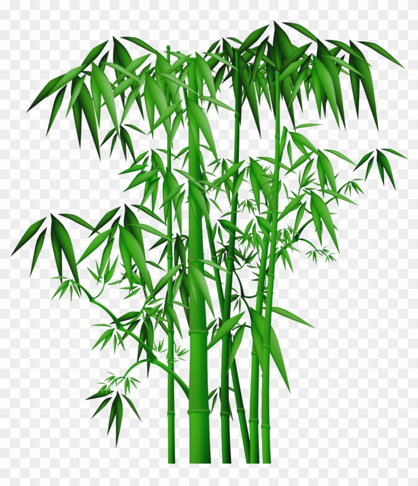 Bamboo Painting , Png Download Clipart