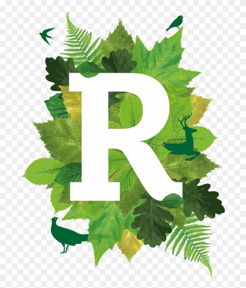 Ivy Clipart Service Award - Rural Business Awards 2017 - Png Download #517131