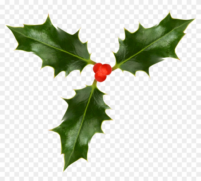 1323 X 1132 8 - Christmas Holly Png Transparent Clipart