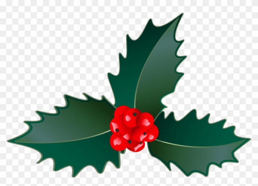 Christmas Holly Png - American Holly Clipart #517560